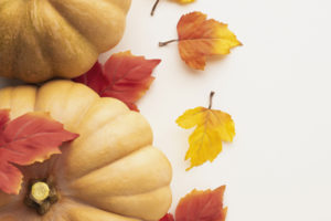sárga sütőtök őszi levelekkel